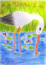 Švančaková Natálka.jpg